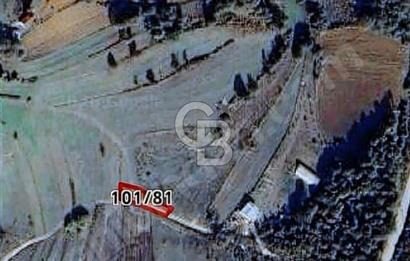 KÖRFEZ ALİHOCALAR DA 347 M2 SATILIK TARLA 