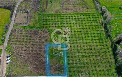 LAPSEKİ ÇARDAK DENİZE 300 METRE 3.5 KAT İMARLI KAT KARŞILIĞI SATILIK ARSA