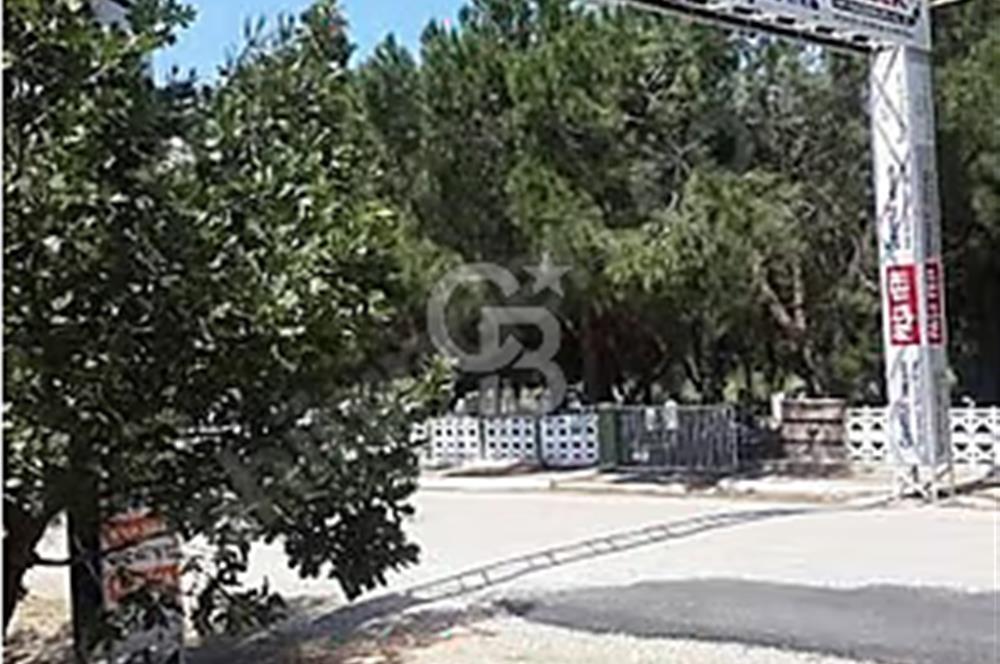 Çanakkale/Biga ilçesine 10dk mesafede Yeniçiftlik'de 3829m²arazi