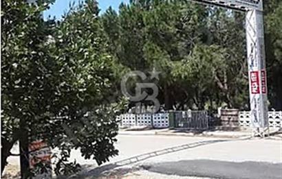 Çanakkale/Biga ilçesine 10dk mesafede Yeniçiftlik'de 3829m²arazi