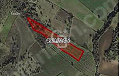 Çanakkale/Biga ilçesine 10dk mesafede Yeniçiftlik'de 3829m²arazi