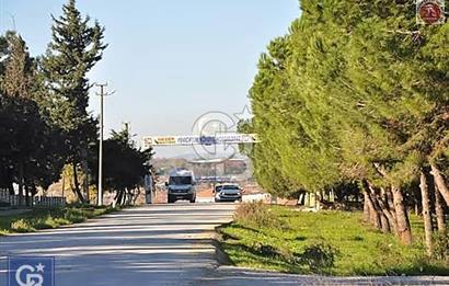 Çanakkale/Biga ilçesine 10dk mesafede Yeniçiftlik'de 3829m²arazi