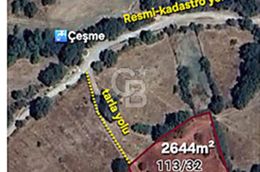 Balıkesir/Dursunbey Yassıören"2644m²"köyün dibinde harika parsel