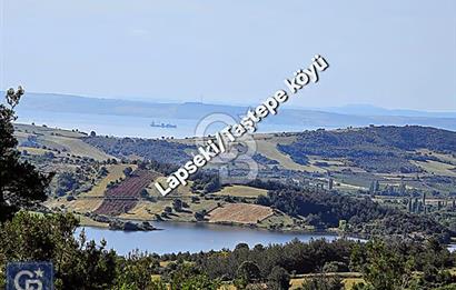 Lapseki boğaz köprüsüne 14km deniz gören, 12.770m²süper arazi.