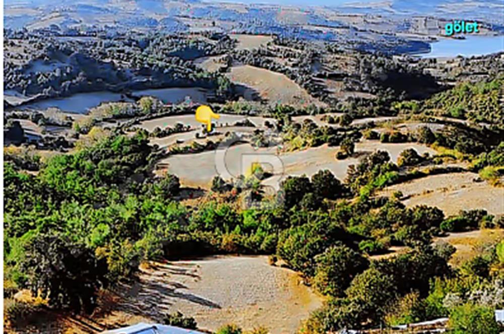 Lapseki boğaz köprüsüne 14km deniz gören, 12.770m²süper arazi.