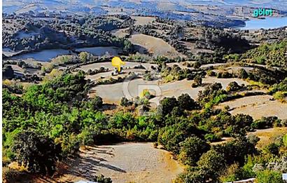 Lapseki boğaz köprüsüne 14km deniz gören, 12.770m²süper arazi.