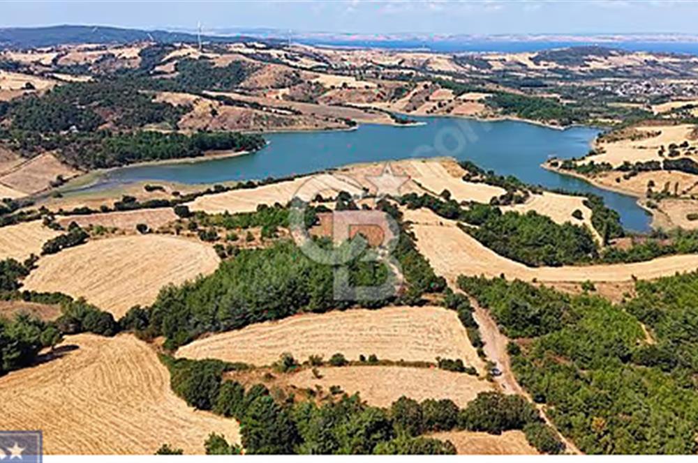 Lapseki boğaz köprüsüne 14km deniz gören, 12.770m²süper arazi.