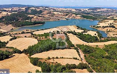 Lapseki boğaz köprüsüne 14km deniz gören, 12.770m²süper arazi.