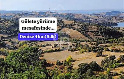 Lapseki boğaz köprüsüne 14km deniz gören, 12.770m²süper arazi.