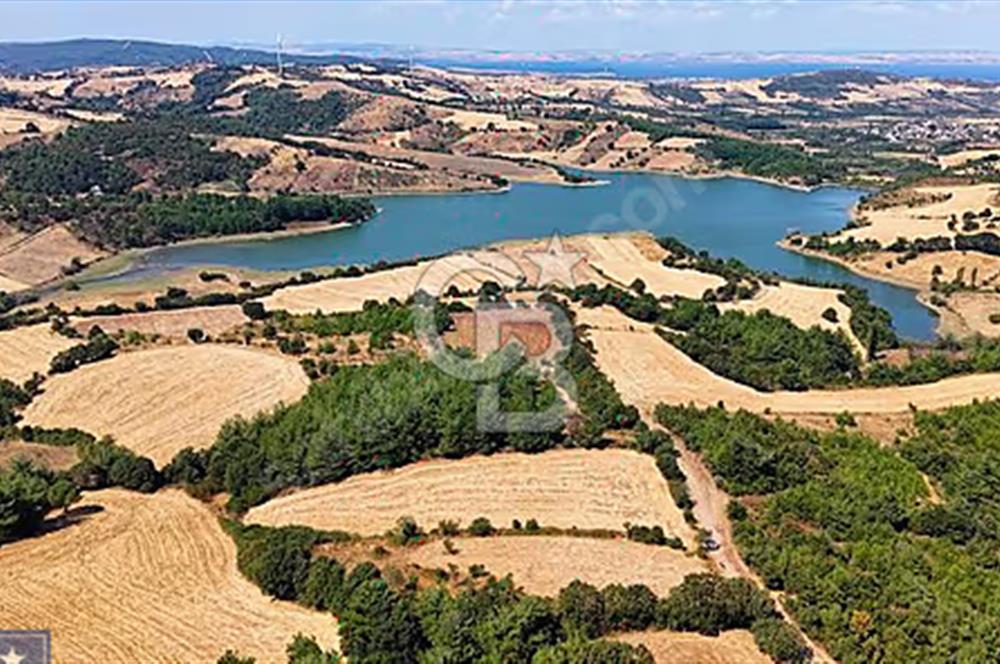Lapseki boğaz köprüsüne 14km deniz gören, 12.770m²süper arazi.