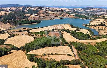 Lapseki boğaz köprüsüne 14km deniz gören, 12.770m²süper arazi.
