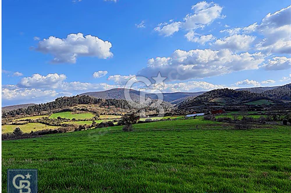 Lapseki köprü otobanı güzergahı Dondurma'da 25 dönüm süper arazi