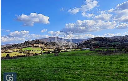 Lapseki köprü otobanı güzergahı Dondurma'da 25 dönüm süper arazi