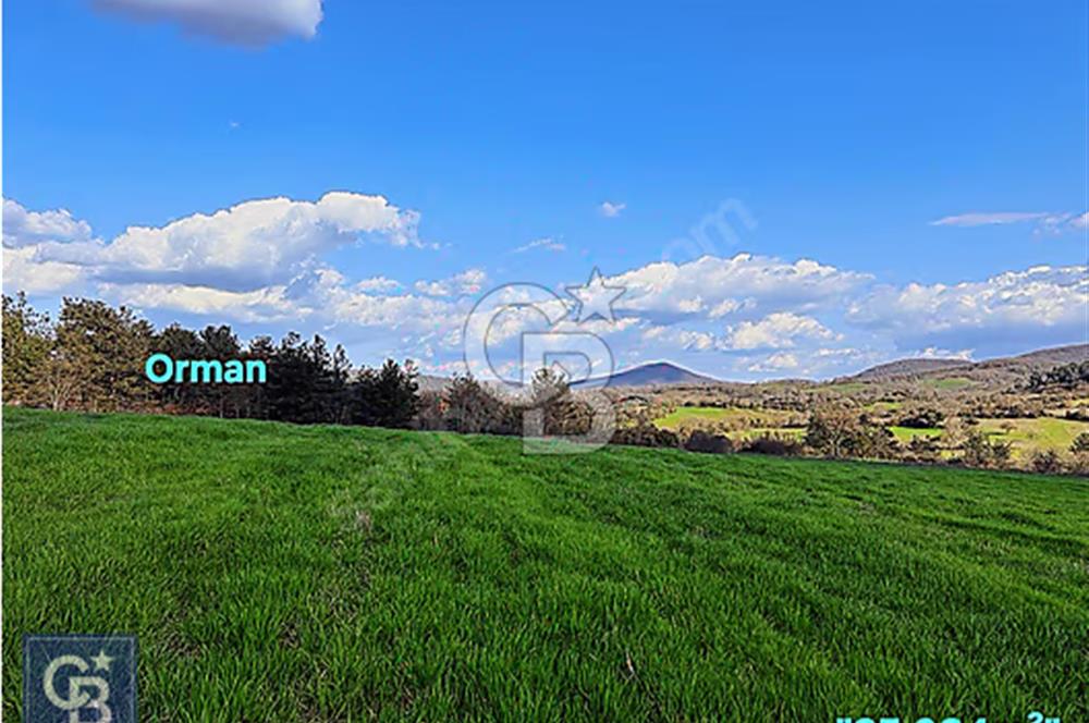 Lapseki köprü otobanı güzergahı Dondurma'da 25 dönüm süper arazi