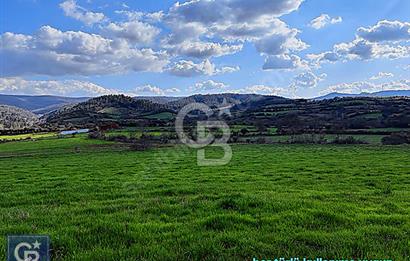 Lapseki köprü otobanı güzergahı Dondurma'da 25 dönüm süper arazi