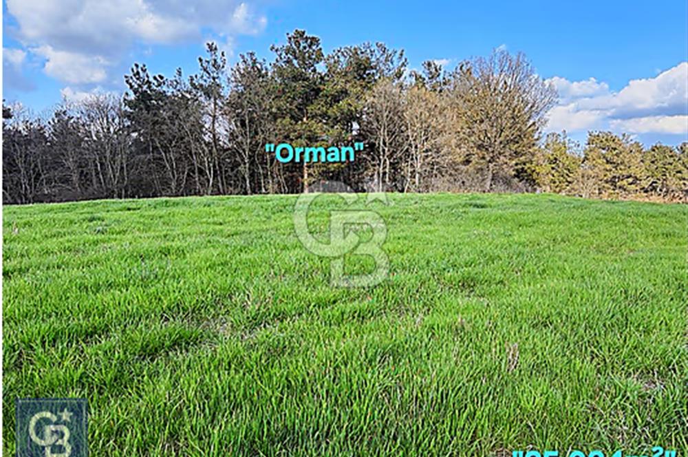 Lapseki köprü otobanı güzergahı Dondurma'da 25 dönüm süper arazi