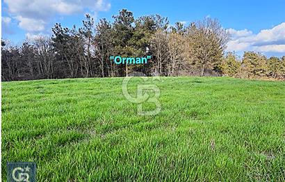 Lapseki köprü otobanı güzergahı Dondurma'da 25 dönüm süper arazi