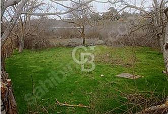 Bayramiç/Nebiler'de 220m²(142m²imarda) köy içi parsel. - 3 - 342215