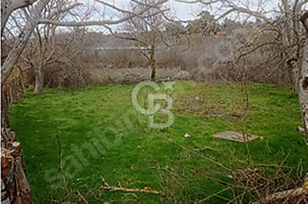 Bayramiç/Nebiler'de 220m²(142m²imarda) köy içi parsel.