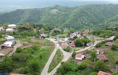 Biga/camialan taşoluk barajına yakın 2126m² fırsat arazi.