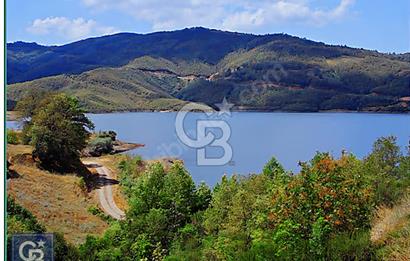 Biga/camialan taşoluk barajına yakın 2126m² fırsat arazi.