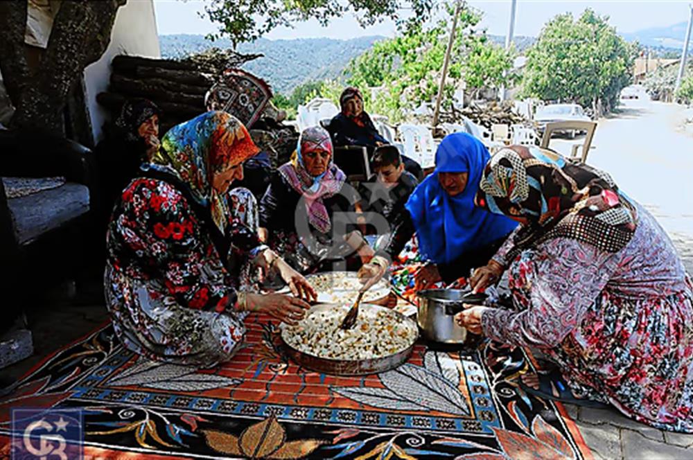 Biga/camialan taşoluk barajına yakın 2126m² fırsat arazi.