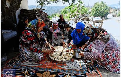 Biga/camialan taşoluk barajına yakın 2126m² fırsat arazi.