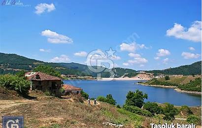 Biga/camialan taşoluk barajına yakın 2126m² fırsat arazi.