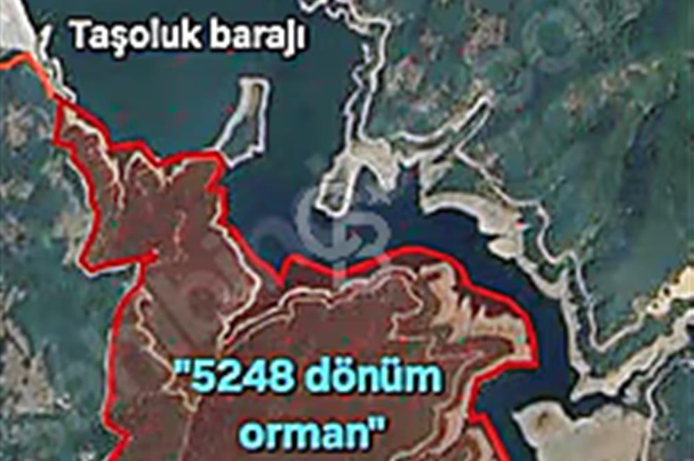 Biga/camialan taşoluk barajına yakın 2126m² fırsat arazi.