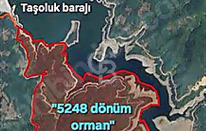 Biga/camialan taşoluk barajına yakın 2126m² fırsat arazi.