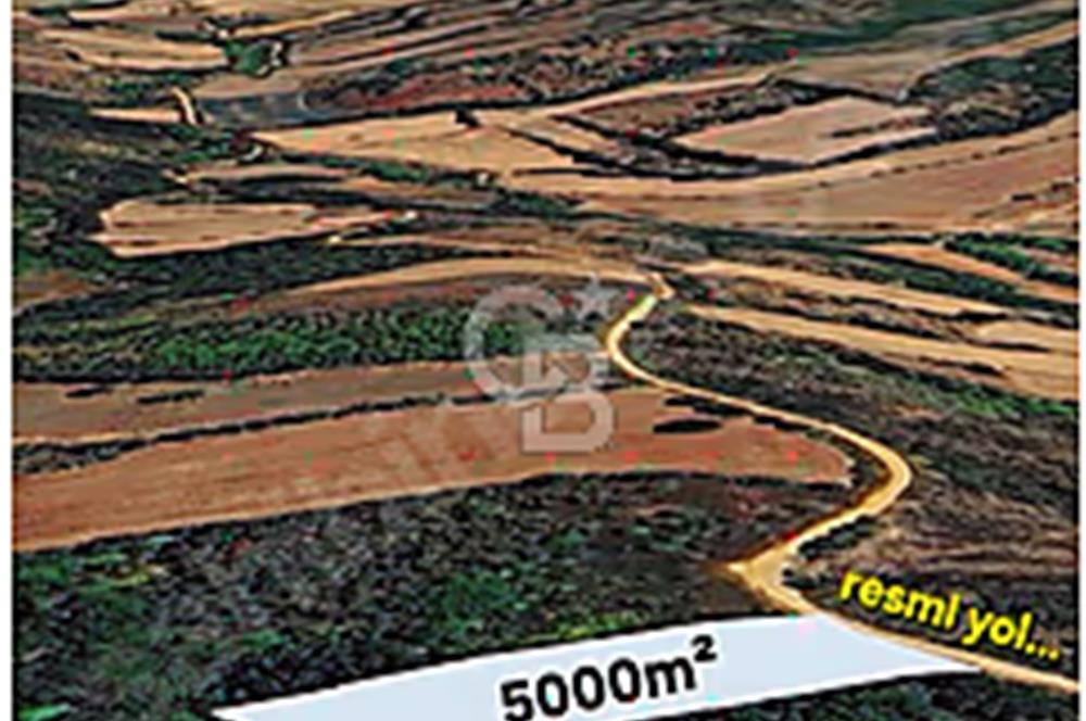 EN ÇOK SATAN BİGA'DAN RESMİ YOLA CEPHELİ 5000M2 ARAZİ.