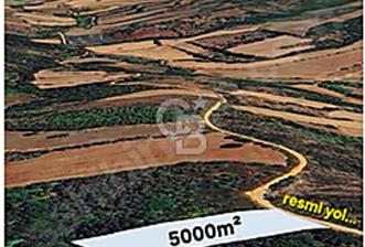 EN ÇOK SATAN BİGA'DAN RESMİ YOLA CEPHELİ 5000M2 ARAZİ. - 2 - 342222