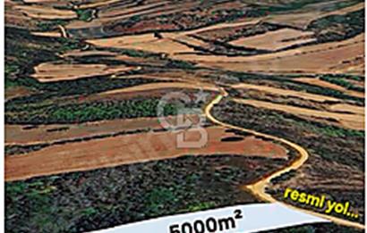 EN ÇOK SATAN BİGA'DAN RESMİ YOLA CEPHELİ 5000M2 ARAZİ.