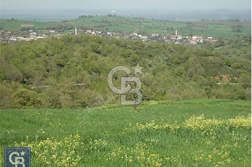 EN ÇOK SATAN BİGA'DAN RESMİ YOLA CEPHELİ 5000M2 ARAZİ.