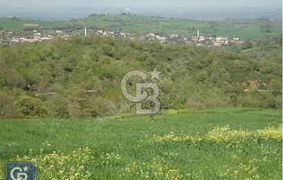 EN ÇOK SATAN BİGA'DAN RESMİ YOLA CEPHELİ 5000M2 ARAZİ.