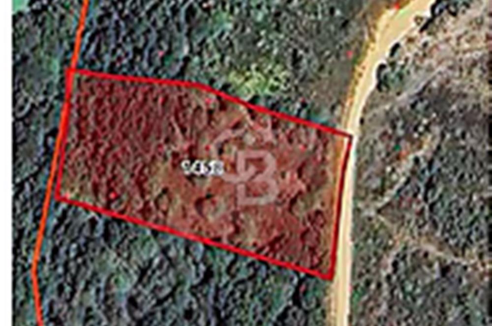 EN ÇOK SATAN BİGA'DAN RESMİ YOLA CEPHELİ 5000M2 ARAZİ.