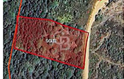 EN ÇOK SATAN BİGA'DAN RESMİ YOLA CEPHELİ 5000M2 ARAZİ.