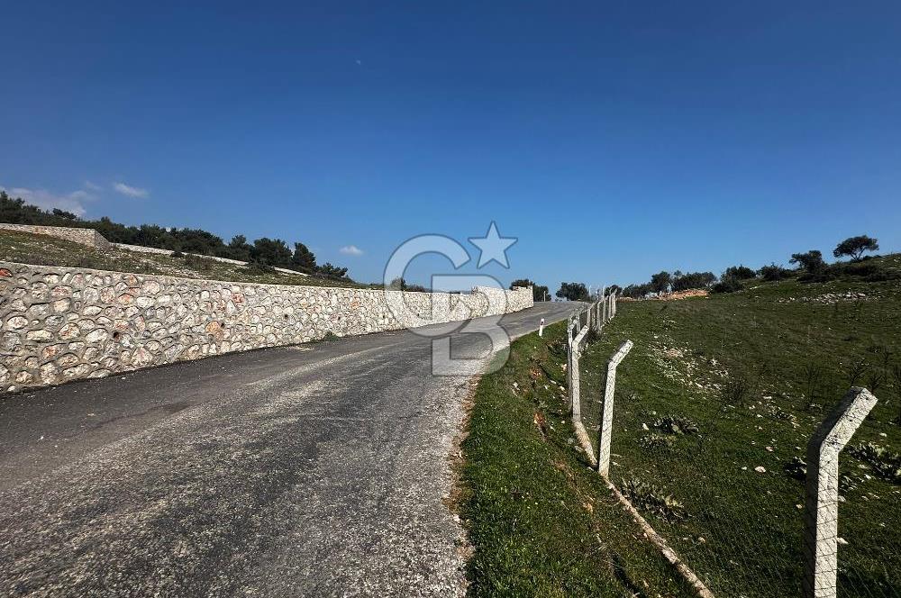 İzmir Kemalpaşa Damlacıkta 19.259 m² Dönüm Yatırımlık Tarla