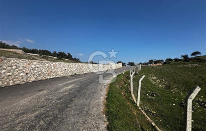 İzmir Kemalpaşa Damlacıkta 19.259 m² Dönüm Yatırımlık Tarla