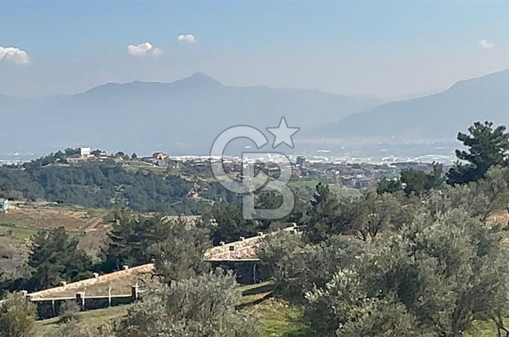 İzmir Kemalpaşa Damlacıkta 19.259 m² Dönüm Yatırımlık Tarla