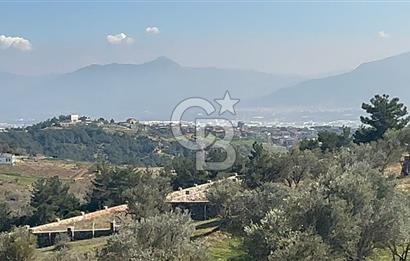 İzmir Kemalpaşa Damlacıkta 19.259 m² Dönüm Yatırımlık Tarla