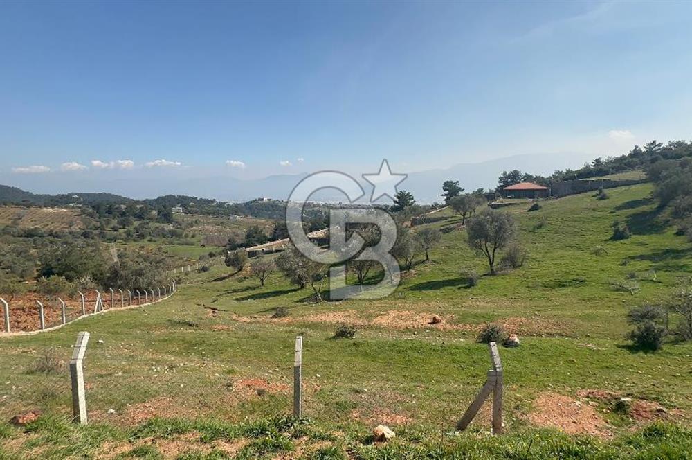 İzmir Kemalpaşa Damlacıkta 19.259 m² Dönüm Yatırımlık Tarla