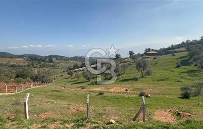 İzmir Kemalpaşa Damlacıkta 19.259 m² Dönüm Yatırımlık Tarla