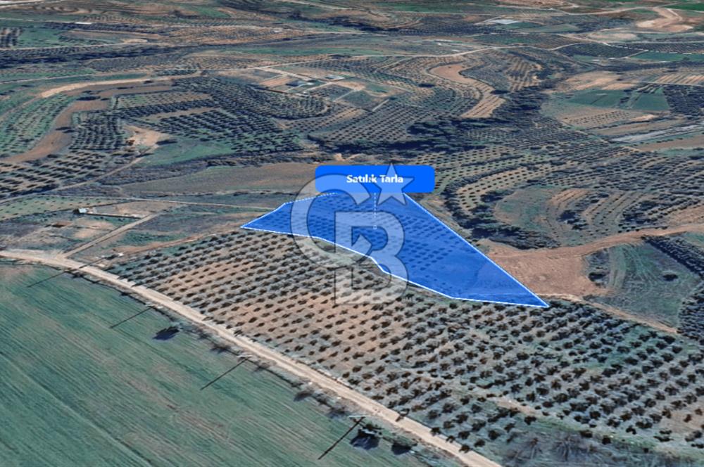 Menderes Bulgurca da Satılık 7.630 m² Tarla