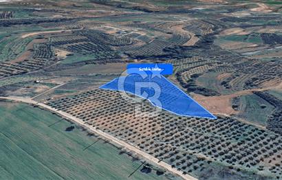 Menderes Bulgurca da Satılık 7.630 m² Tarla
