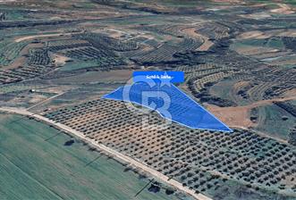 Menderes Bulgurca da Satılık 7.630 m² Tarla - 6 - 342211