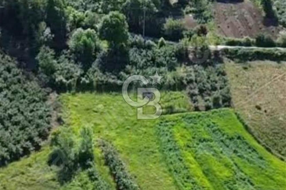 KANDIRA BALCI KÖYÜNDE 884 M2 %5 İMARDA TOPLULAŞTIRMA 