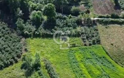 KANDIRA BALCI KÖYÜNDE 884 M2 %5 İMARDA TOPLULAŞTIRMA 
