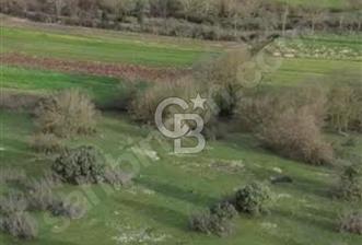 KANDIRA BALCI KÖYÜNDE 884 M2 %5 İMARDA TOPLULAŞTIRMA  - 1 - 342299