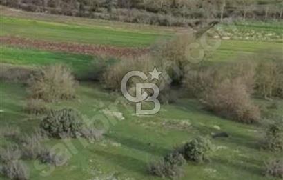 KANDIRA BALCI KÖYÜNDE 884 M2 %5 İMARDA TOPLULAŞTIRMA 